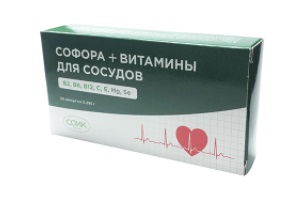 Купить софора+витамин. д/сосуд, капс 395мг №30_бад в Богородске