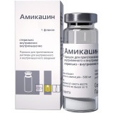 Купить амикацин, порошок для приготовления раствора для внутривенного и внутримышечного введения 1г, флакон в Богородске