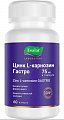 Купить цинк l-карнозин гастро, капсулы 60 шт бад в Богородске