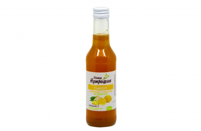 Купить сироп имбирный на фруктозе с лимоном доктор нутришин, флакон 250мл бад в Богородске