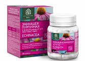 Купить эхинацея пурпурная с витаминами с и е экстракт вис, капсулы массой 350мг, 30 шт бад в Богородске