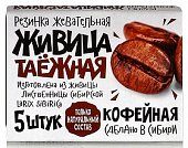 Купить живица таежная, жевательная резинка с экстрактом кофейных зёрен, 5 шт в Богородске