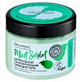 Купить натура сиберика skin evolution скраб для тела тонизирующий mint sorbet, 400 г в Богородске