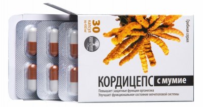 Купить кордицепс с мумие грибная серия, капсулы 450мг, 30 шт бад в Богородске