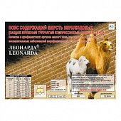 Купить пояс леонарда согревающий эластичный из шерсти верблюда размер xs (1) в Богородске