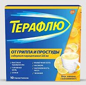 Купить терафлю от гриппа и простуды, порошок для приготовления раствора для приема внутрь, лимонный, пакетики 22,1г, 10 шт в Богородске
