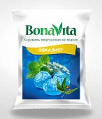 Купить bonavita (бона вита) карамель леденцовая на травах эвкалипт с витамином с, пакет 60г бад в Богородске