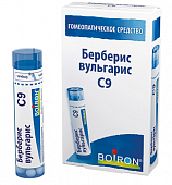 Купить берберис вульгарис с9 гранулы гомеопатические 4г в Богородске