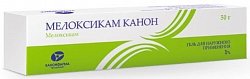 Купить мелоксикам-канон, гель для наружного применения, 1%, туба 50г в Богородске