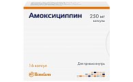 Купить амоксициллин, капсулы 250мг, 16 шт в Богородске