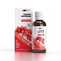 Купить abc healthy food (абс хелси фуд) сироп кардионорм с калиной, 250 мл бад в Богородске
