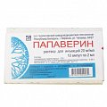 Купить папаверин, раствор для внутривенного и внутримышечного введения 20мг/мл, ампулы 2мл, 10 шт в Богородске