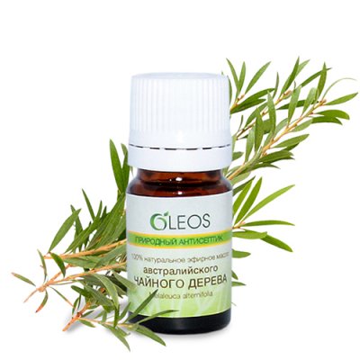 Купить oleos (олеос) природный антисептик косметическое масло австралийского чайного дерева, 5мл в Богородске