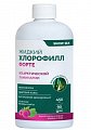 Купить snow sea хлорофилл форте жидкий со вкусом малины и мяты, 450 мл бад в Богородске