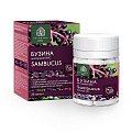 Купить бузина экстракт вис капсулы 450мг, 30шт бад в Богородске