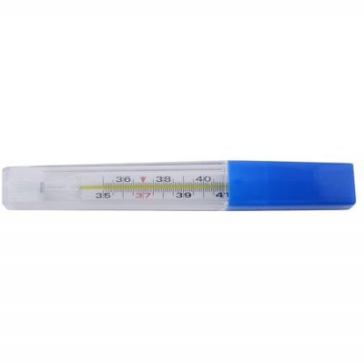 Купить термометр медицинский ртутный максимальный стеклянный в Богородске